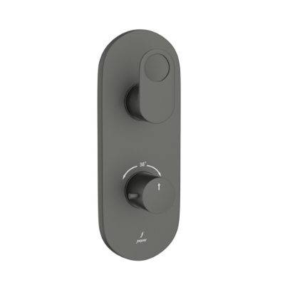 Picture of Aquamax Thermostatic Shower Mixer - Graphite